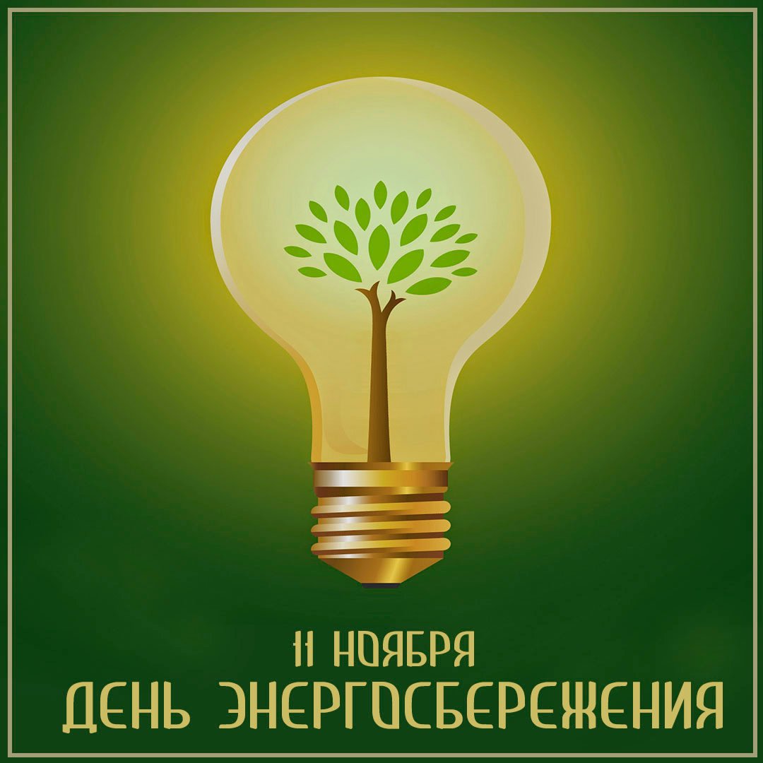 11 ноября- Международный День энергосбережения 